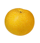 梨 コレクション（個別スタンプ：2）