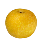 梨 コレクション（個別スタンプ：3）