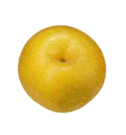 梨 コレクション（個別スタンプ：4）