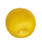 梨 コレクション（個別スタンプ：5）