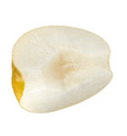 梨 コレクション（個別スタンプ：26）