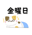 3D風！毎日五月病なねこたち（個別スタンプ：6）