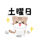 3D風！毎日五月病なねこたち（個別スタンプ：7）