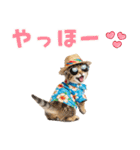 見やすい！でか文字マンチカンの夏（個別スタンプ：2）
