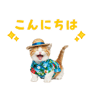 見やすい！でか文字マンチカンの夏（個別スタンプ：3）