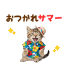 見やすい！でか文字マンチカンの夏（個別スタンプ：4）