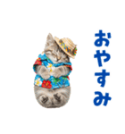 見やすい！でか文字マンチカンの夏（個別スタンプ：5）