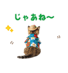 見やすい！でか文字マンチカンの夏（個別スタンプ：6）