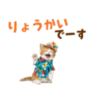 見やすい！でか文字マンチカンの夏（個別スタンプ：7）