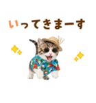 見やすい！でか文字マンチカンの夏（個別スタンプ：8）