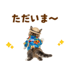 見やすい！でか文字マンチカンの夏（個別スタンプ：9）