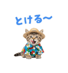 見やすい！でか文字マンチカンの夏（個別スタンプ：11）