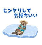 見やすい！でか文字マンチカンの夏（個別スタンプ：13）