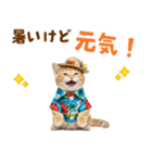 見やすい！でか文字マンチカンの夏（個別スタンプ：17）
