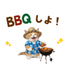 見やすい！でか文字マンチカンの夏（個別スタンプ：21）