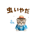 見やすい！でか文字マンチカンの夏（個別スタンプ：28）