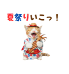 見やすい！でか文字マンチカンの夏（個別スタンプ：30）