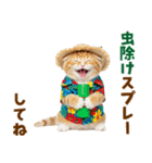 見やすい！でか文字マンチカンの夏（個別スタンプ：32）