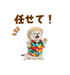 見やすい！でか文字マンチカンの夏（個別スタンプ：34）