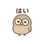 シュールふくろうのあいさつ日常（個別スタンプ：5）