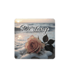 Rose of Love -愛の薔薇（個別スタンプ：20）