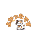 よかったにゃ＊ねこのお祝いスタンプ（個別スタンプ：1）