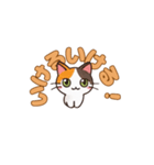 よかったにゃ＊ねこのお祝いスタンプ（個別スタンプ：7）