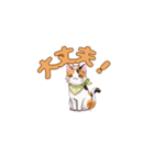 よかったにゃ＊ねこのお祝いスタンプ（個別スタンプ：8）