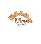 よかったにゃ＊ねこのお祝いスタンプ（個別スタンプ：10）