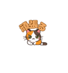 よかったにゃ＊ねこのお祝いスタンプ（個別スタンプ：12）