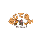 よかったにゃ＊ねこのお祝いスタンプ（個別スタンプ：16）