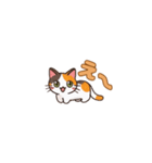 よかったにゃ＊ねこのお祝いスタンプ（個別スタンプ：19）
