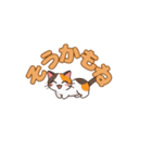 よかったにゃ＊ねこのお祝いスタンプ（個別スタンプ：20）