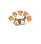 よかったにゃ＊ねこのお祝いスタンプ（個別スタンプ：21）
