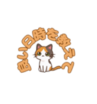 よかったにゃ＊ねこのお祝いスタンプ（個別スタンプ：22）