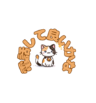 よかったにゃ＊ねこのお祝いスタンプ（個別スタンプ：23）