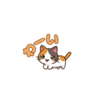 よかったにゃ＊ねこのお祝いスタンプ（個別スタンプ：24）
