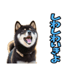 徳島阿波弁☆わんこ（個別スタンプ：39）