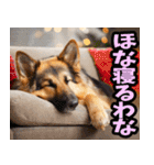 徳島阿波弁☆わんこ（個別スタンプ：40）