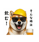 柴犬の現場仕事⭐酒(再販)（個別スタンプ：6）