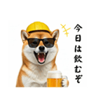 柴犬の現場仕事⭐酒(再販)（個別スタンプ：12）