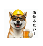 柴犬の現場仕事⭐酒(再販)（個別スタンプ：16）
