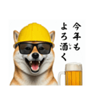 柴犬の現場仕事⭐酒(再販)（個別スタンプ：31）
