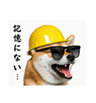 柴犬の現場仕事⭐酒(再販)（個別スタンプ：37）