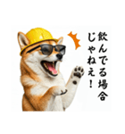 柴犬の現場仕事⭐酒(再販)（個別スタンプ：38）