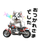 敬語♡バイク好き シベリアンハスキー（個別スタンプ：1）