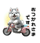 敬語♡バイク好き シベリアンハスキー（個別スタンプ：2）