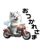 敬語♡バイク好き シベリアンハスキー（個別スタンプ：3）