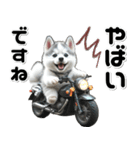 敬語♡バイク好き シベリアンハスキー（個別スタンプ：4）