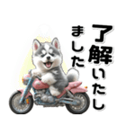 敬語♡バイク好き シベリアンハスキー（個別スタンプ：5）